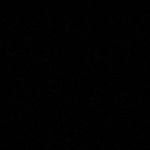 Meet your Posher, Bailey